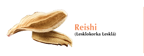 Vitahit_eshop_karta_produkt_popisky_reishi_houba popis_1